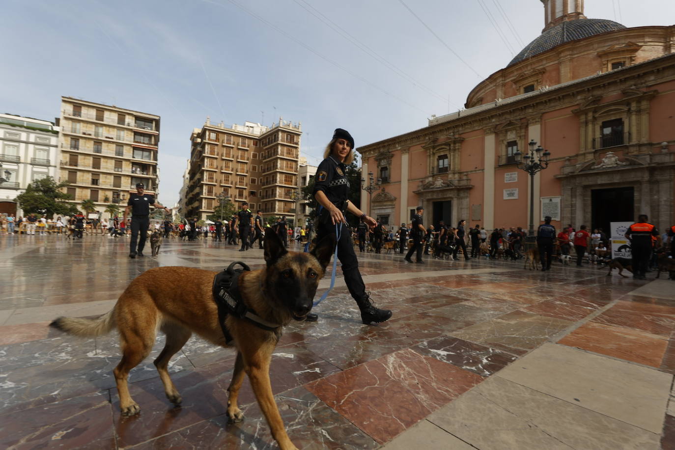 Fotos: Exhibición de unidades caninas de policías y bomberos en la plaza de la Virgen