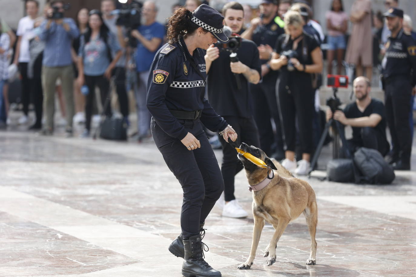 Fotos: Exhibición de unidades caninas de policías y bomberos en la plaza de la Virgen