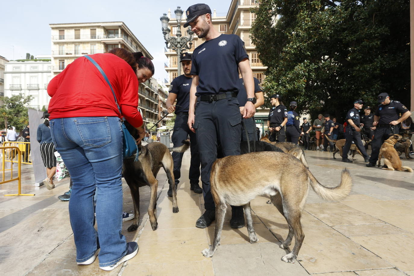 Fotos: Exhibición de unidades caninas de policías y bomberos en la plaza de la Virgen