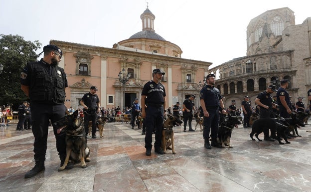 Imagen principal - Exhibición en la plaza de la Virgen, rastreo de maletas y precio tras detectar droga. 