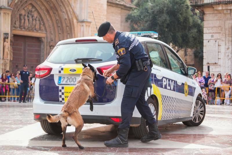 Fotos: Exhibición de unidades caninas de policías y bomberos en la plaza de la Virgen