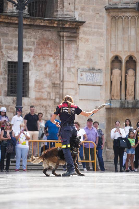 Fotos: Exhibición de unidades caninas de policías y bomberos en la plaza de la Virgen