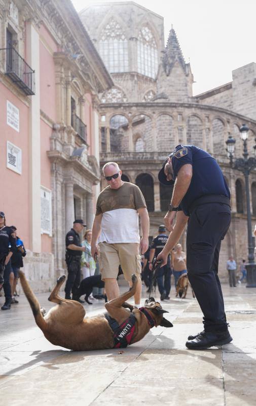 Fotos: Exhibición de unidades caninas de policías y bomberos en la plaza de la Virgen