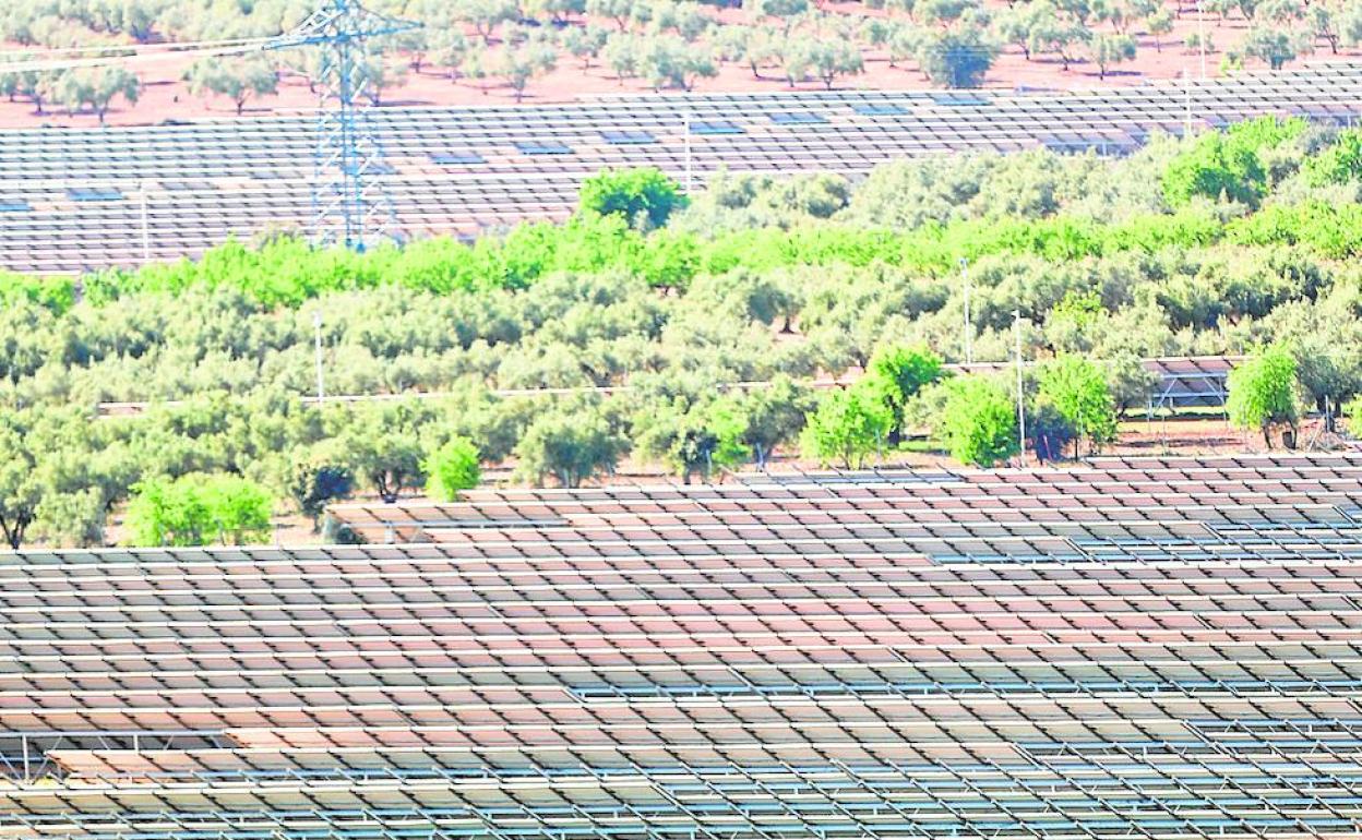 Placas fotovoltaicas en Valencia | Más de 160 pymes valencianas se juegan su patrimonio con el atasco en la fotovoltaica