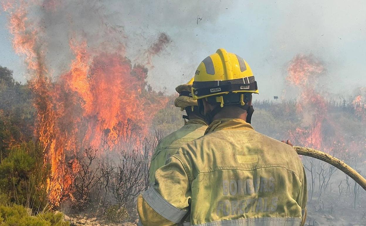 Extinción de un incendio forestal este verano. 