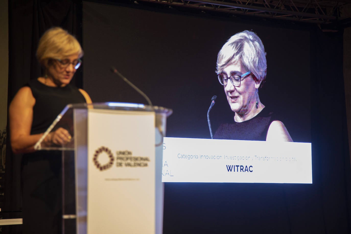 Acto de entrega de los VIII Premios a la Excelencia de Unión Profesionales de Valencia.