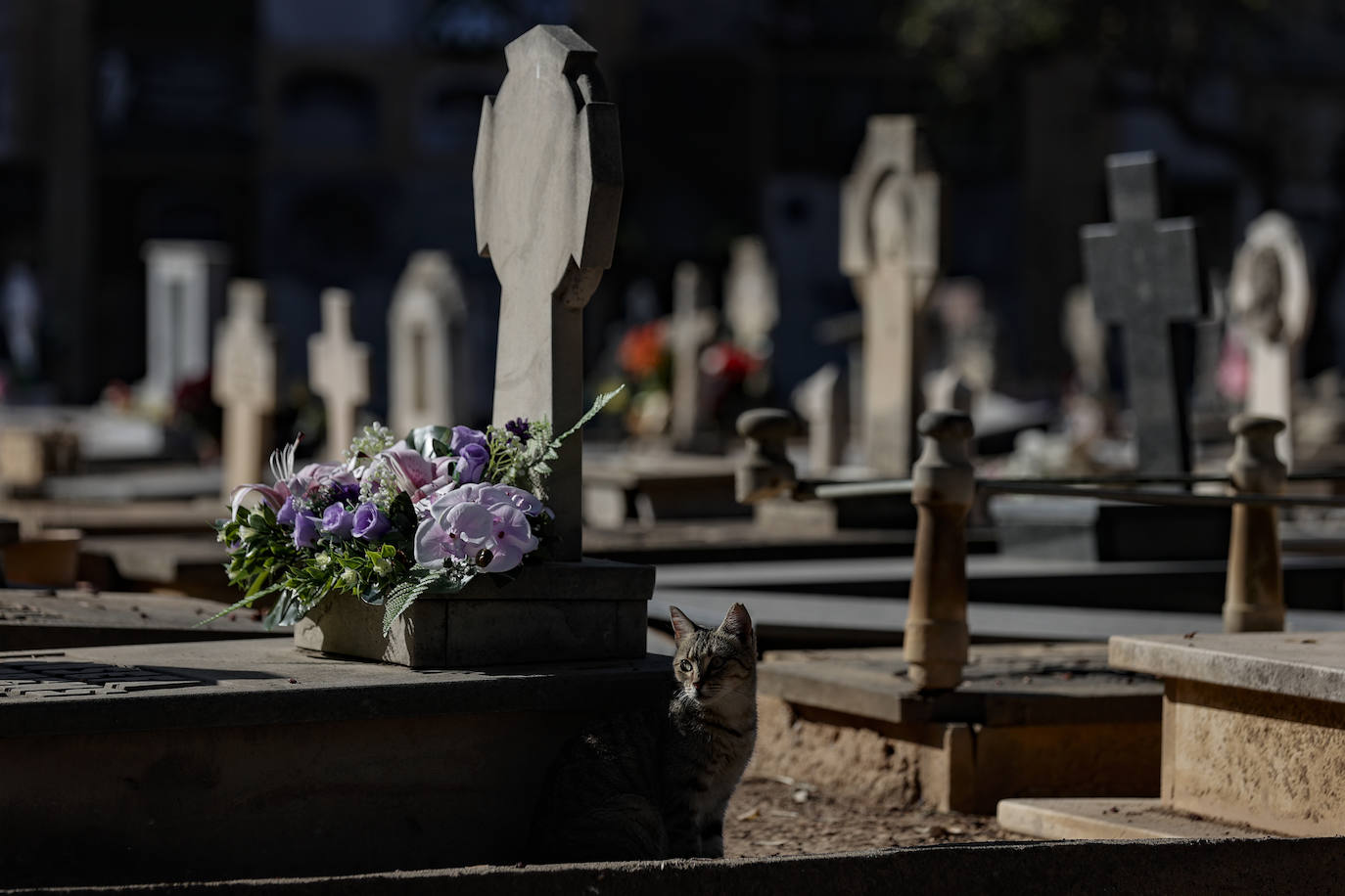 Fotos: Los visitantes del Cementerio General de Valencia en el Día de Todos los Santos