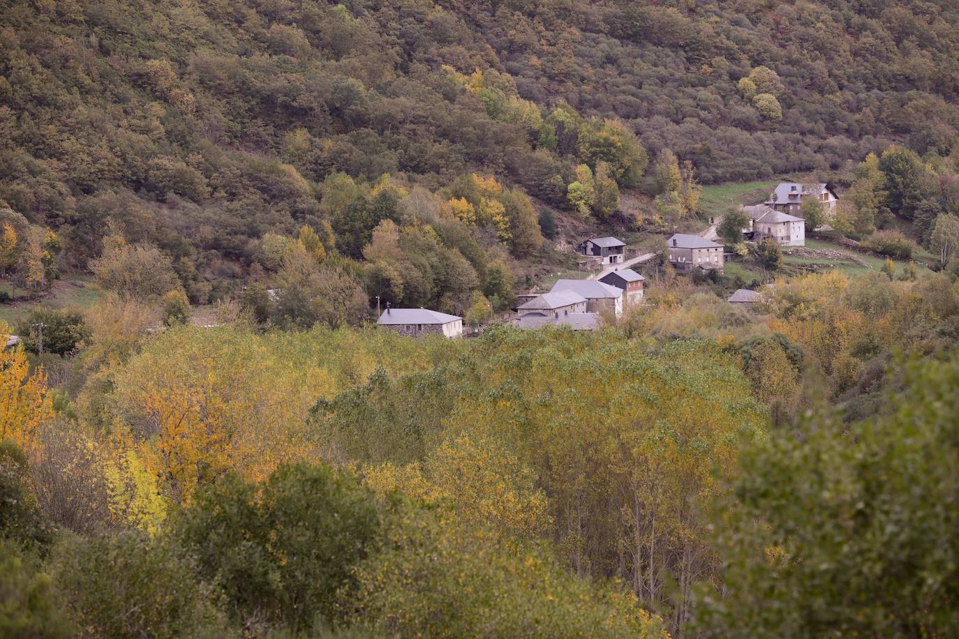 Fotos: Un paseo de cuento por un bosque de hayas