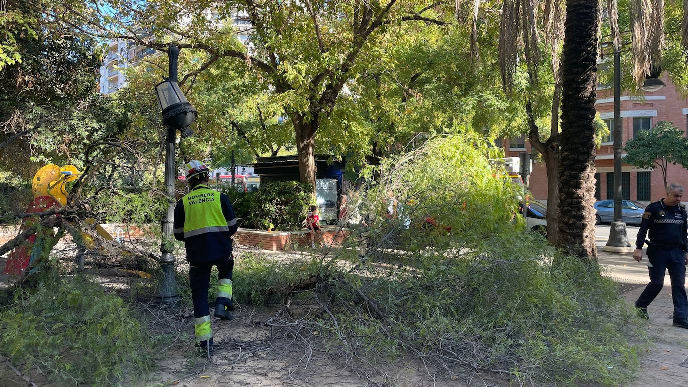 Una persona ha resultado herida y los bomberos han acordonado la zona de juegos infantiles afectada.