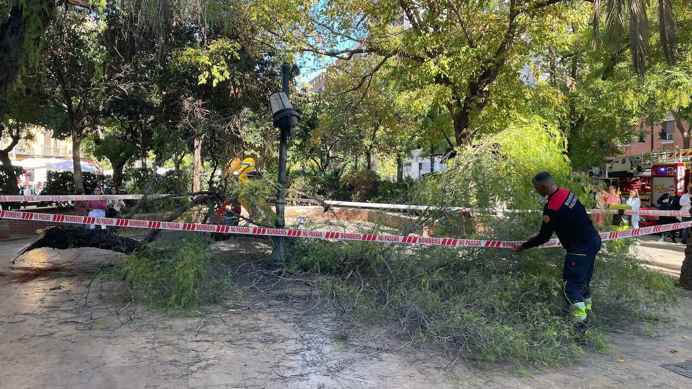 Una persona ha resultado herida y los bomberos han acordonado la zona de juegos infantiles afectada.