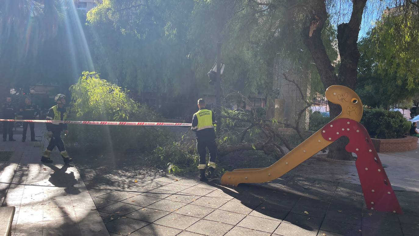 Una persona ha resultado herida y los bomberos han acordonado la zona de juegos infantiles afectada.