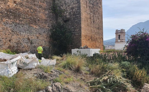 Las tareas de desbroce que se están llevando a cabo en la ladera oeste. 