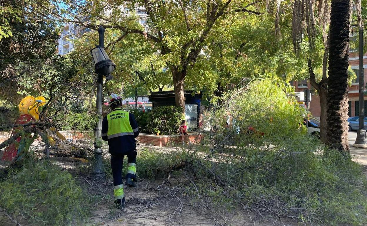 Bomberos de Valencia, en la plaza del Pintor Segrelles, tras la caída de una rama que causó heridas leves a un vecino. 