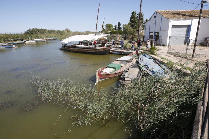 3,3 millones. Actuaciones para la regeneración ambiental de la Albufera