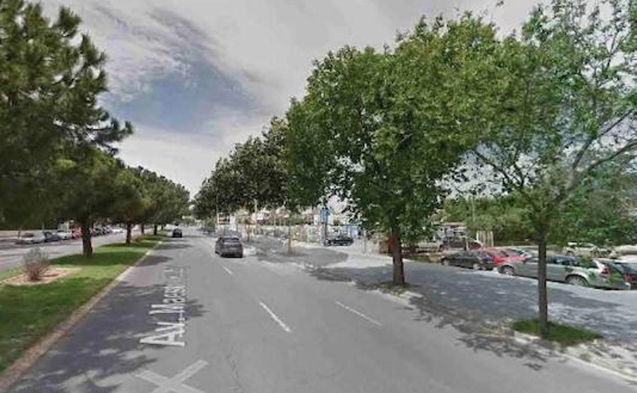 La avenida del Maestro Rodrigo de Valencia tendrá más sombra y arbolado