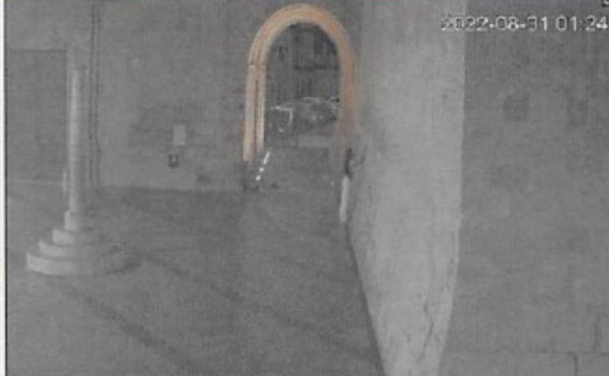 La imagen de las cámaras de seguridad que recogen a la autora. 