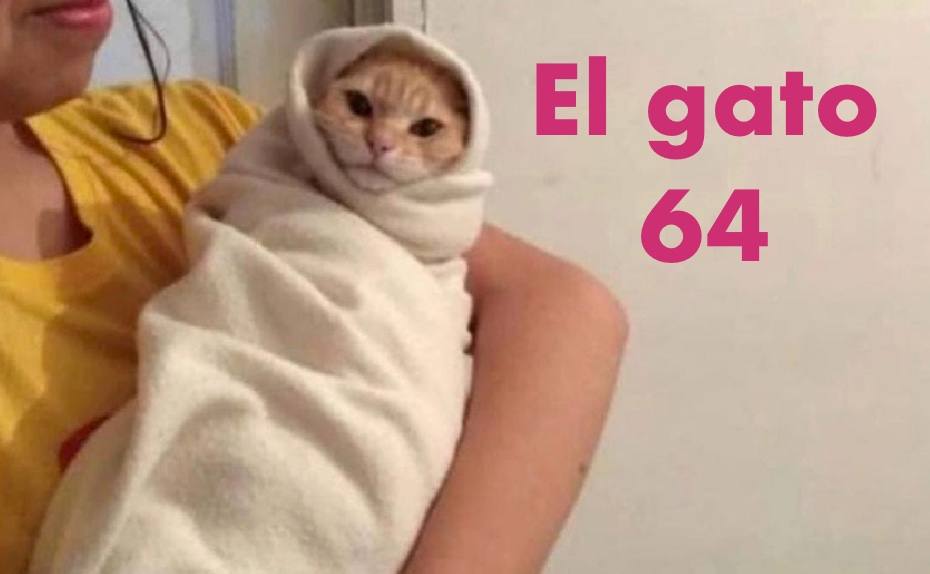 El gato Damián