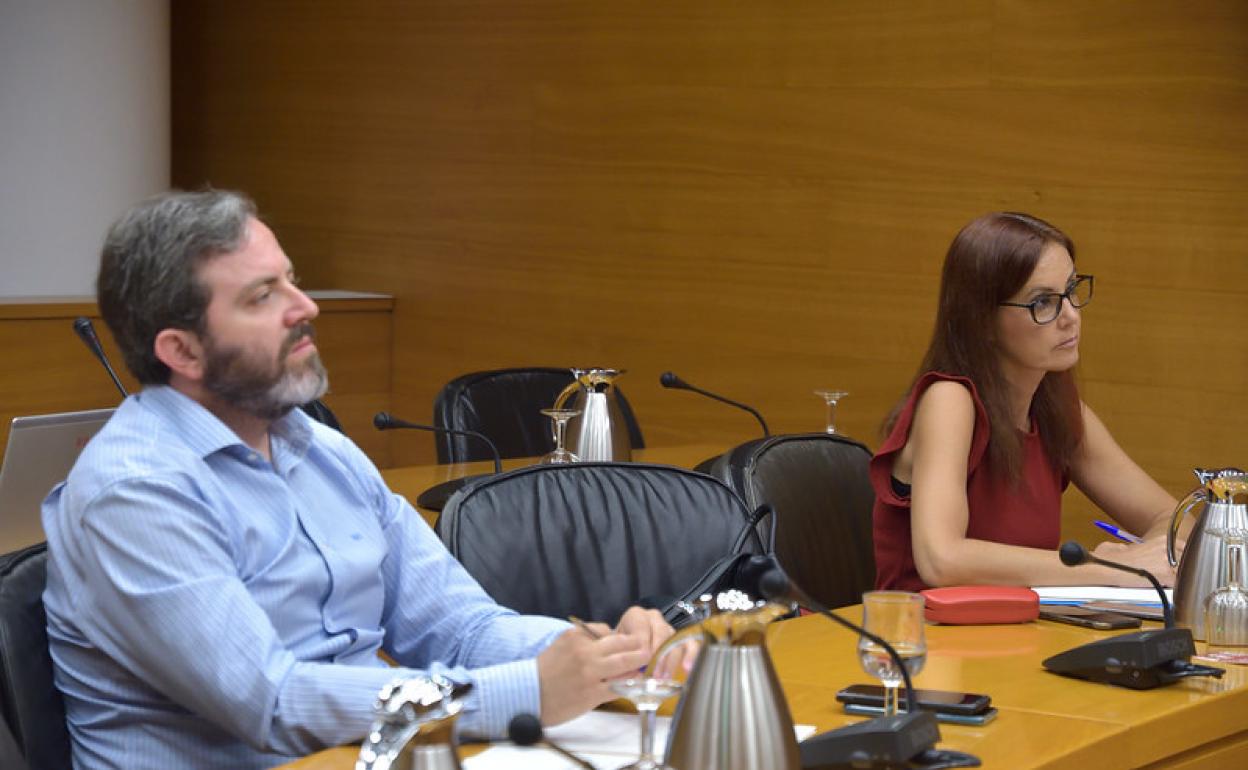 Eduardo del Pozo, junto a la diputada del PP Elisa Díaz, en Les Corts.