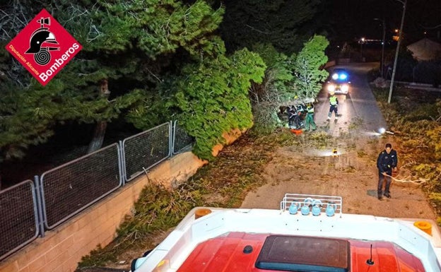 Los bomberos retiran una arboleda caída en una carretera en Orihuela. 