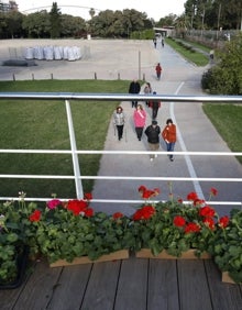 Imagen secundaria 2 - Operarios del OAM de Parques y Jardines, plantando los geranios y murcianas en el puente de las Flores. 