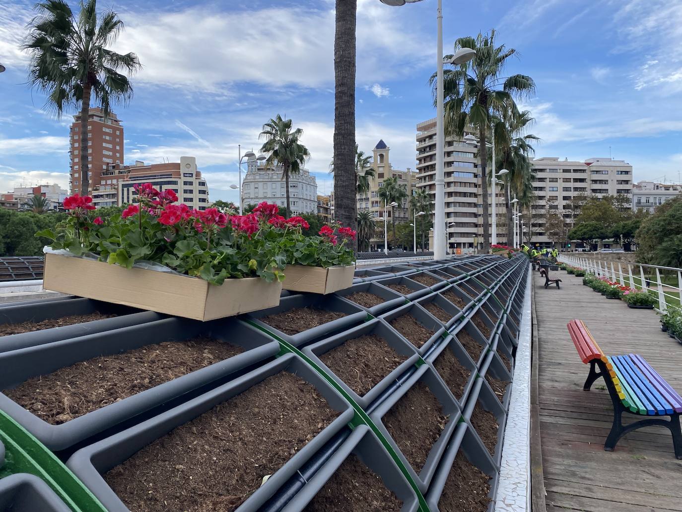 Fotos: El puente de las Flores de Valencia se pone a punto