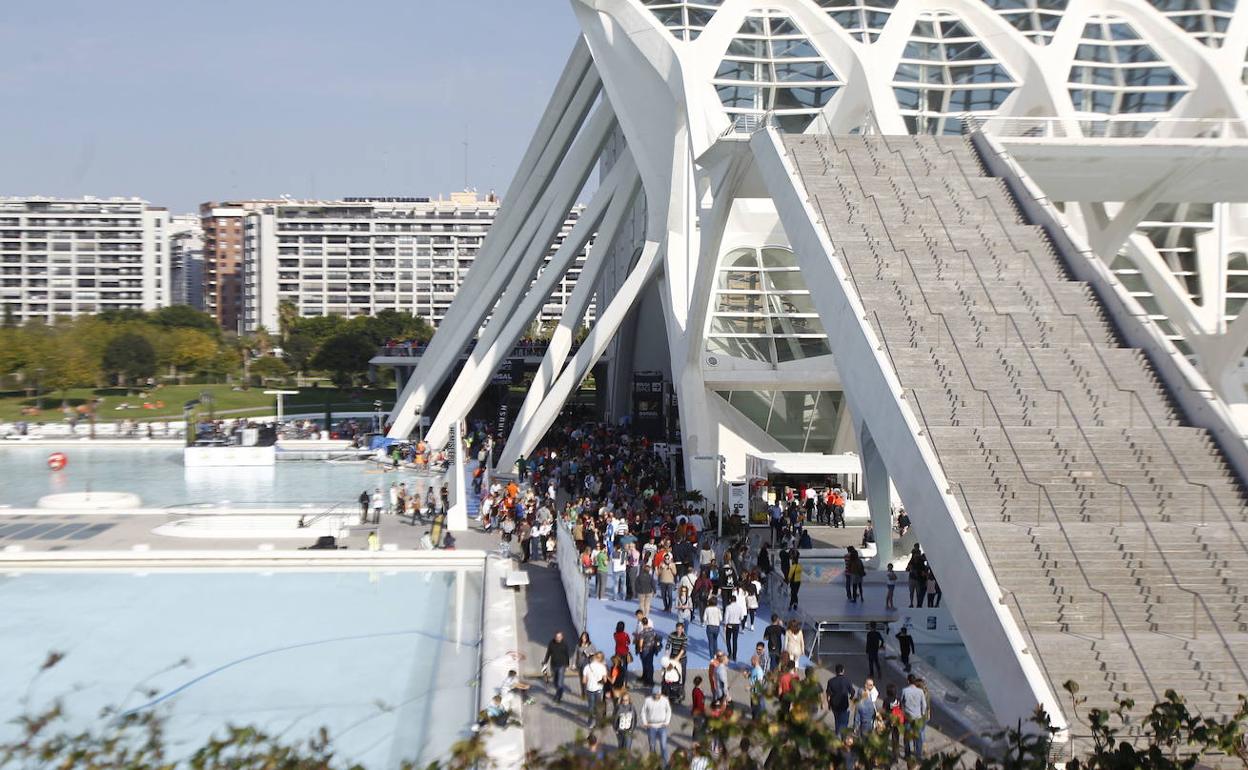 Feria del Corredor, Maratón de Valencia Trinidad Alfonso 2022