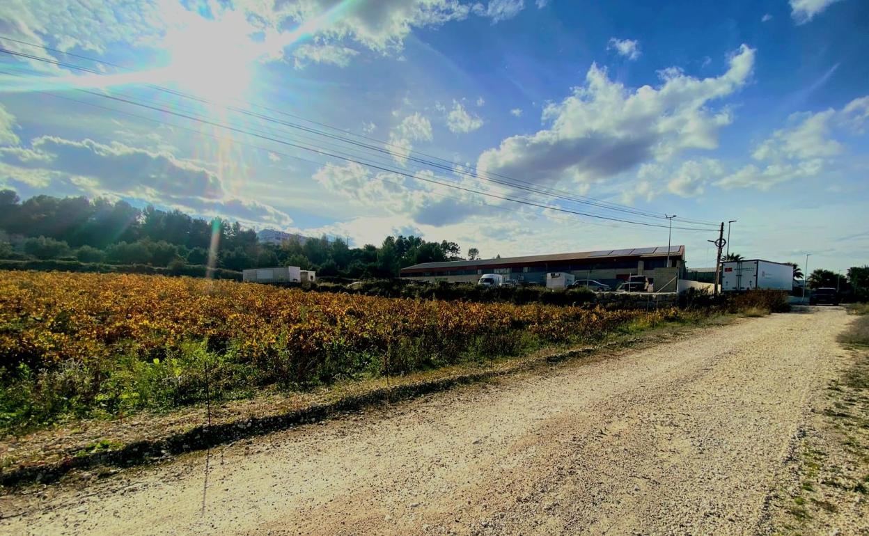 Zona del polígono que se urbanizará tras la aprobación de la modificación del Plan General. 