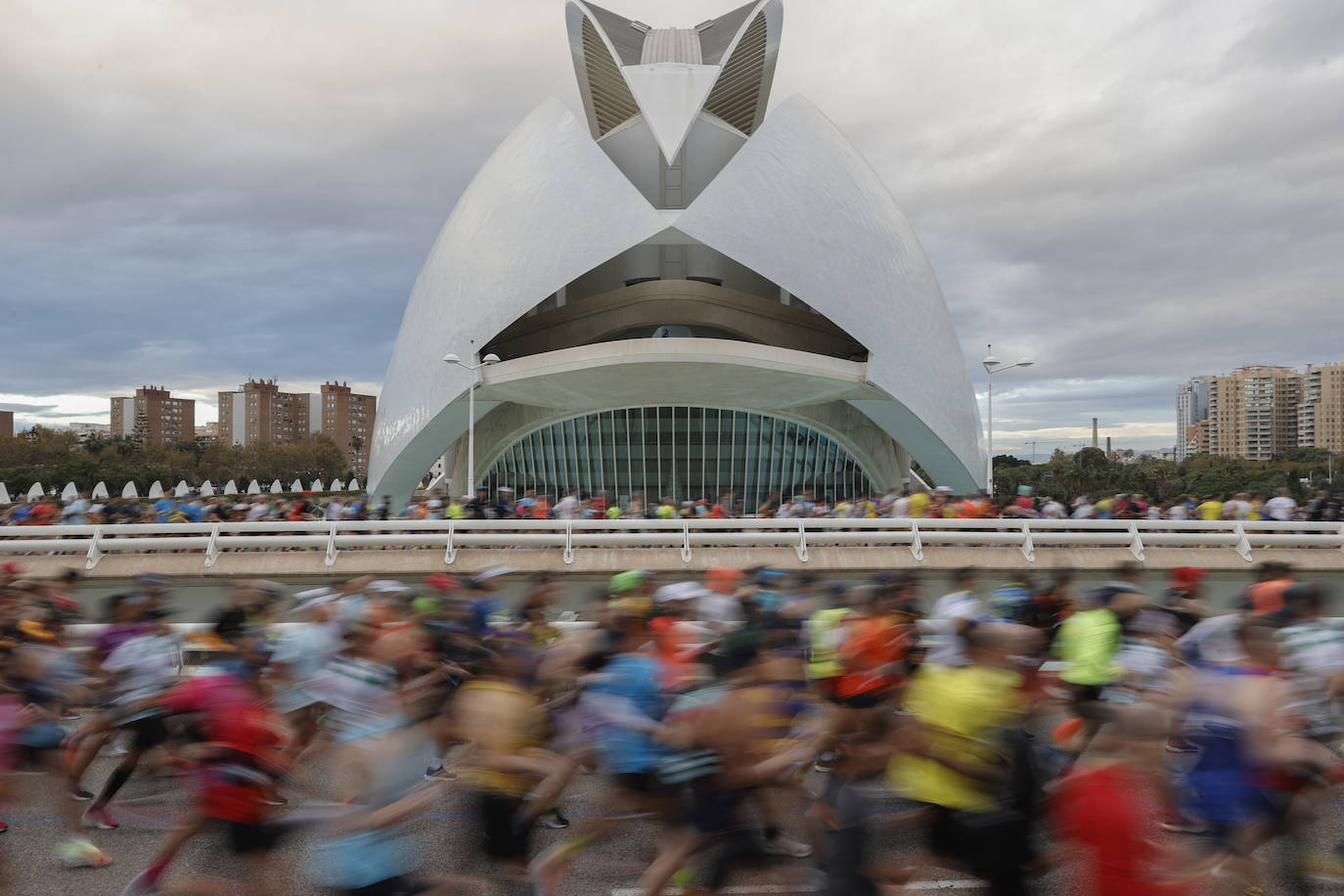 Fotos: Valencia brilla como escenario del Maratón de Valencia 2022