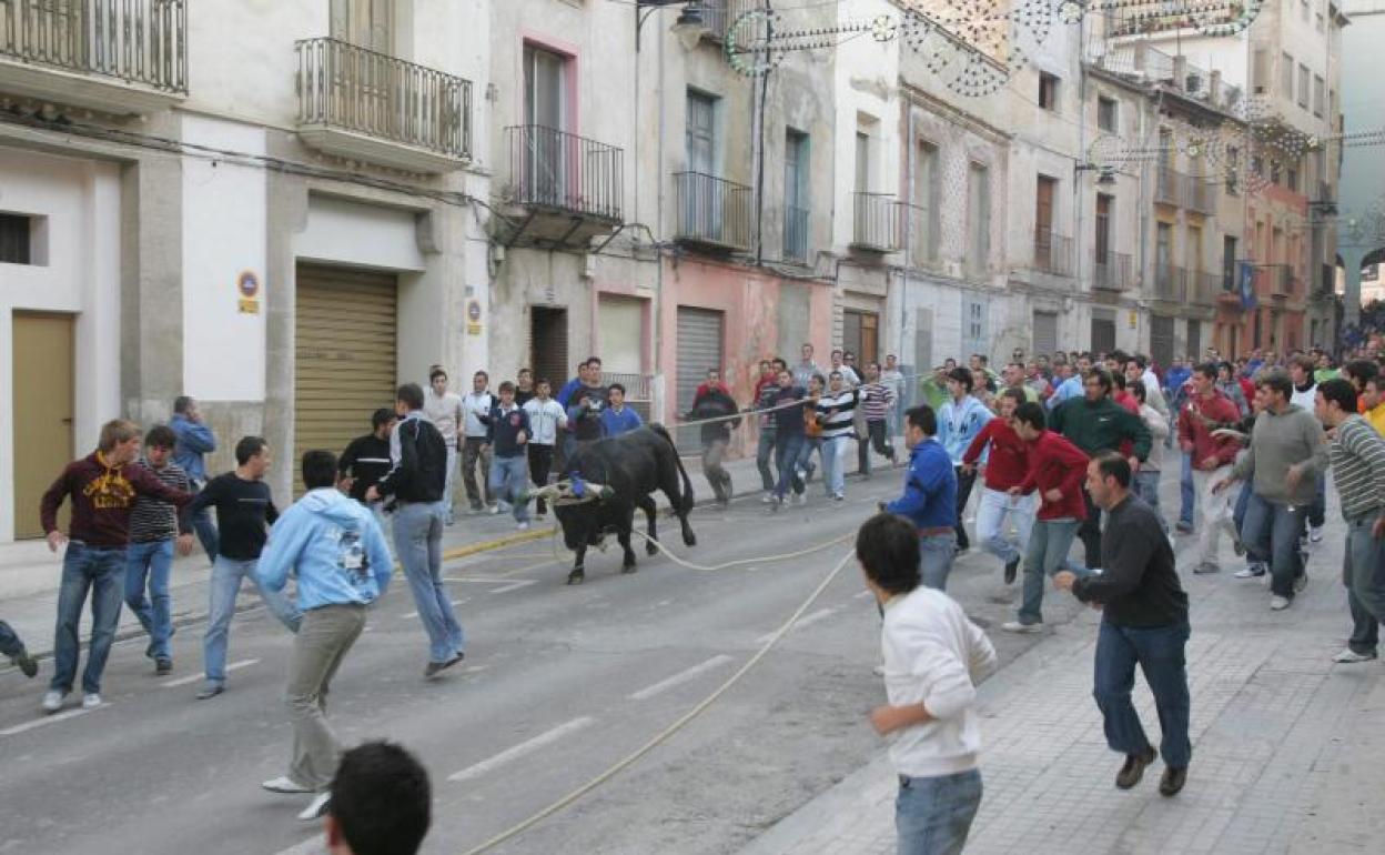 Foto de archivo de Bous en Corda de Ontinyent. 