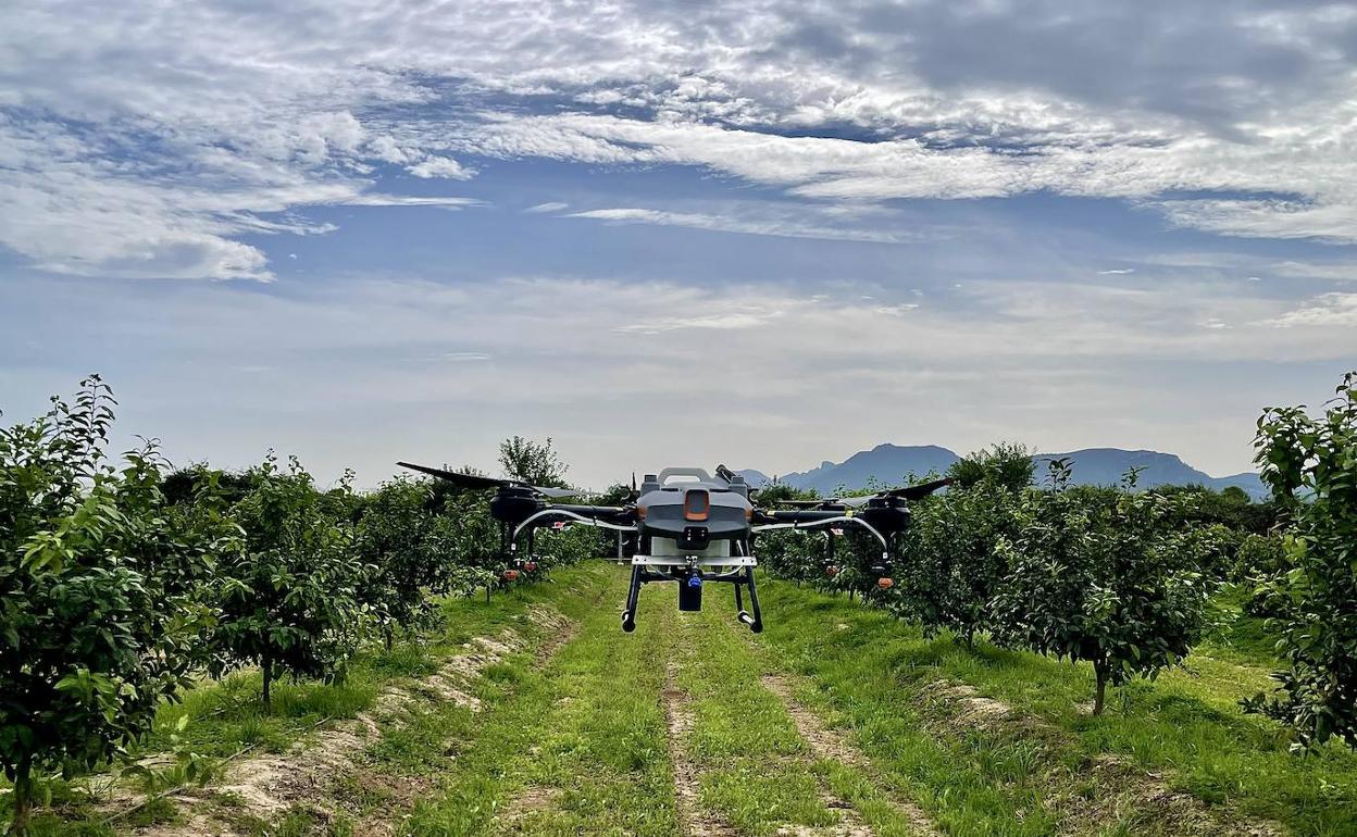 FlyDronAir, la startup especializada en la agricultura de precisión con drones.