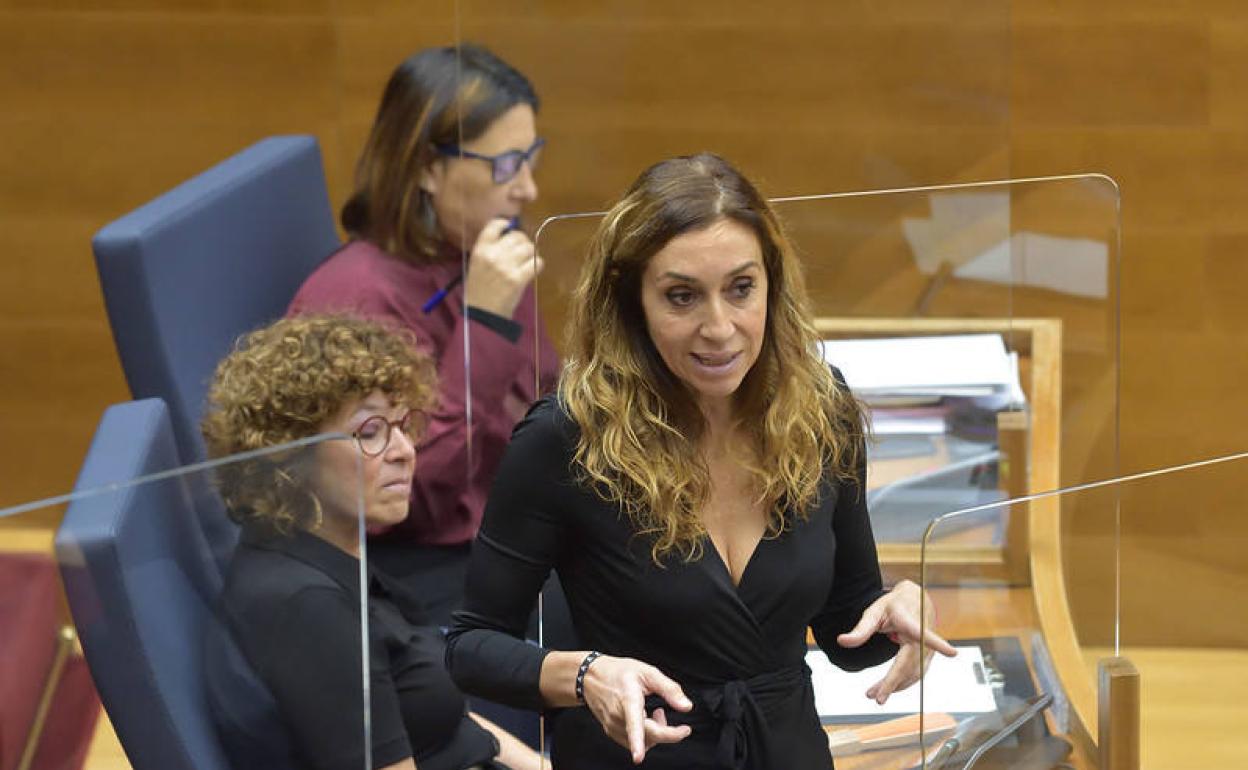 La consellera de Agricultura, una de las últimas incorporaciones al Consell. 