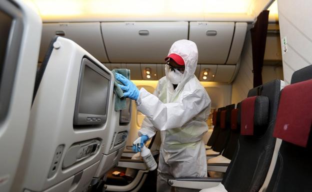 Qué es el virus del camello, la enfermedad que tiene en vilo al Mundial de Qatar, y cuáles son sus síntomas