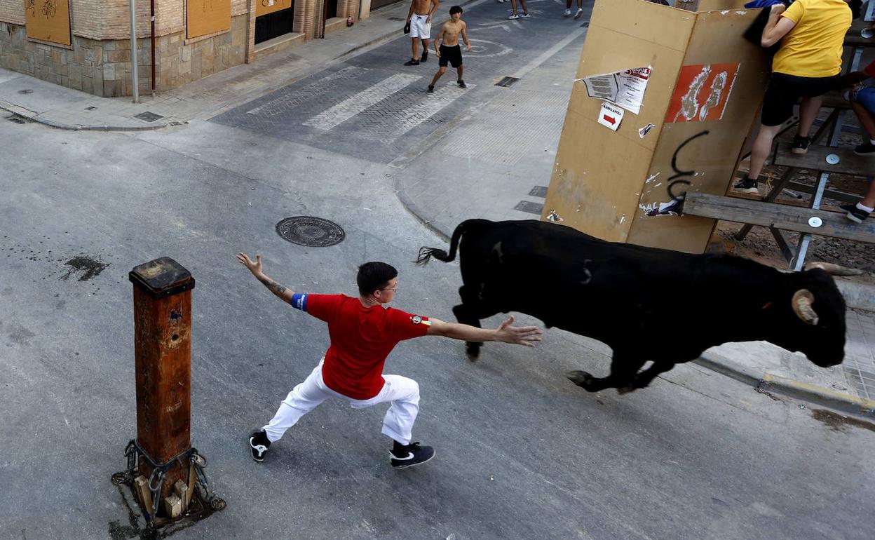 Un festejo taurino en Alboraya. 