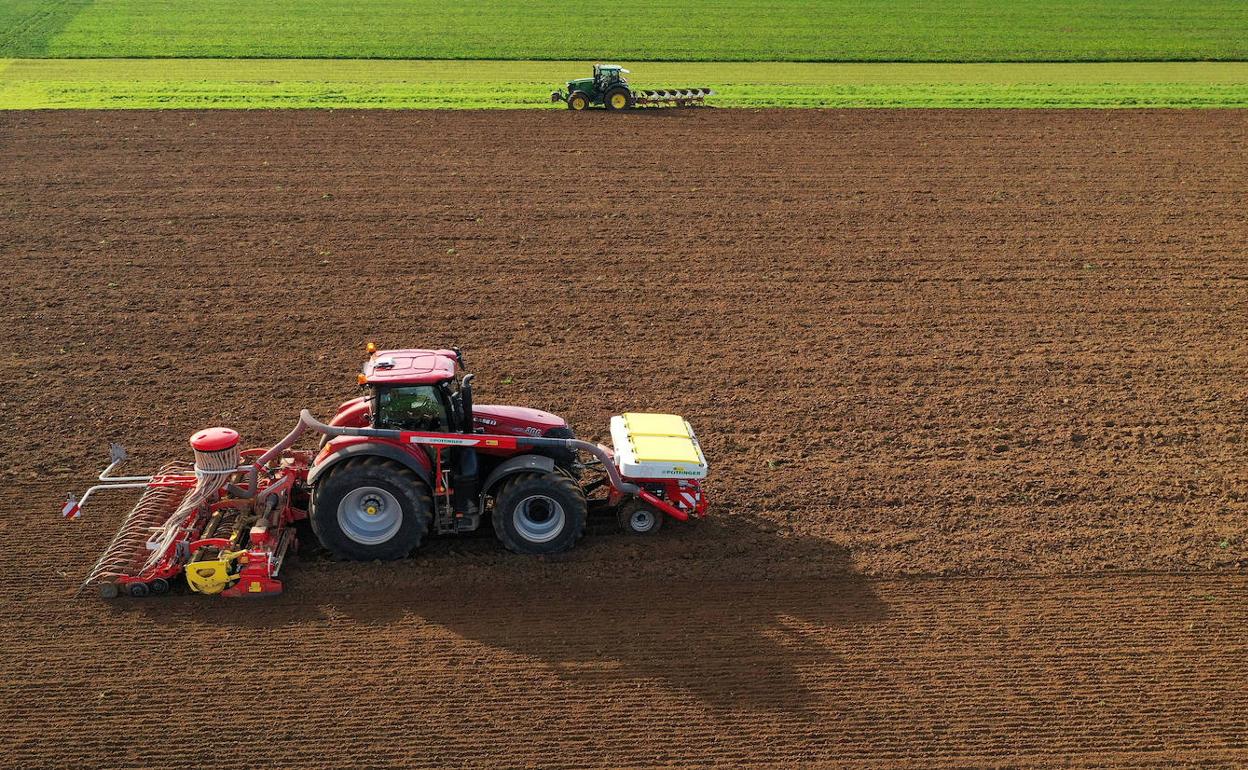 Los químicos utilizados a gran escala en la agricultura dañan los ecosistemas. 