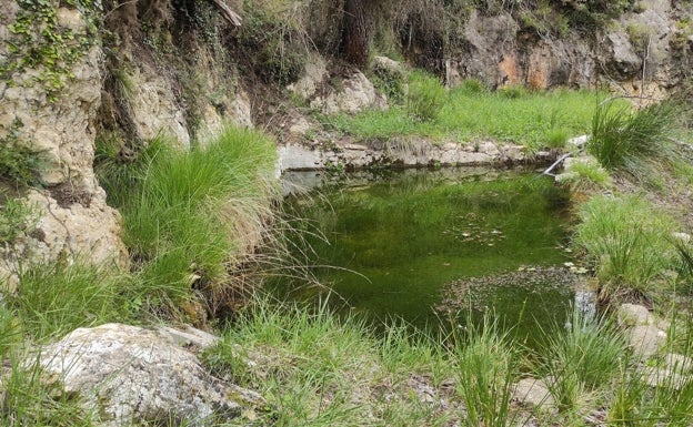 Gracias a este proyecto se han recuperado abrevaderos para que los animales tengan agua de calidad. 