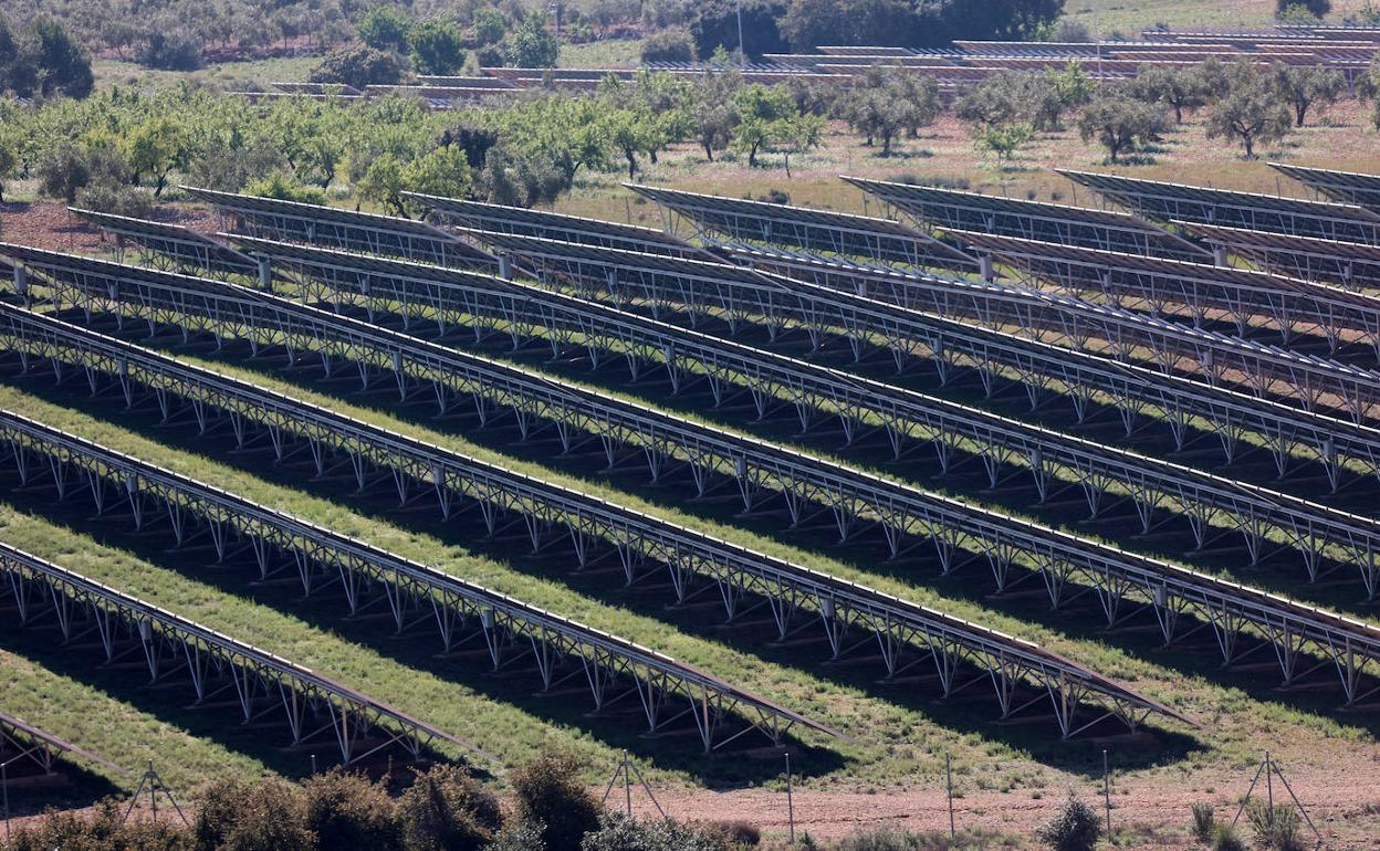 Una instalación de placas fotovoltaicas. 