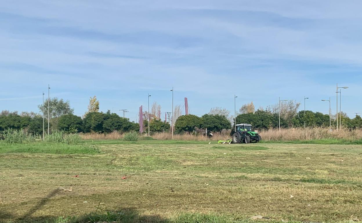 Trabajos para preparar la parcela en Tulell. 