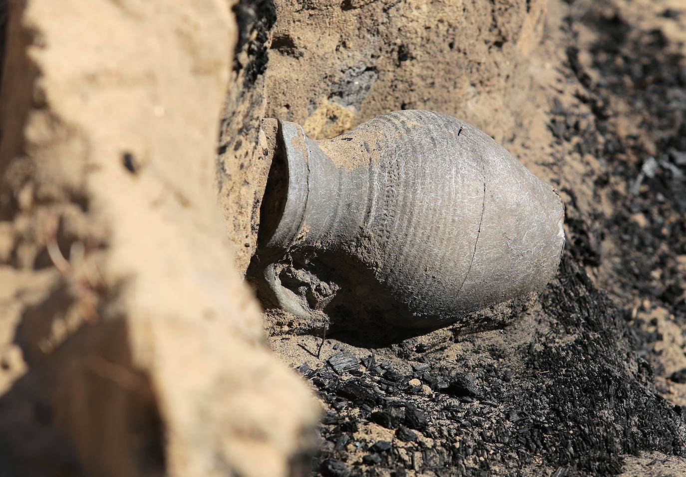 9.- Esqueletos y vasijas salen a la luz en el norte de Polonia. La antigua ciudad de Alt Wartenburg estaba ubicada entre el lago Wadag y el río Orzechowka, a unos cinco kilómetros de Barczewo. Probablemente estuvo habitada por colonos de Silesia.
