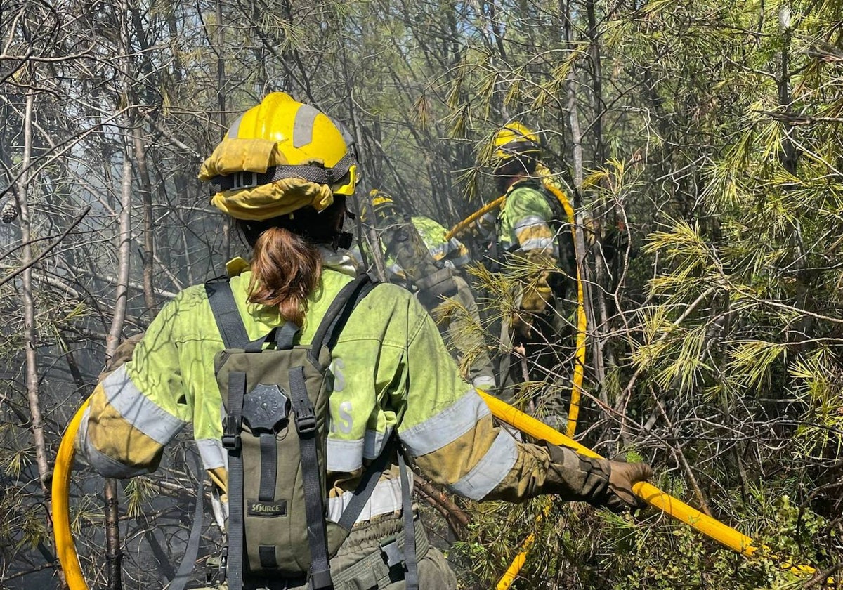 Bomberos forestales trabajando en un incendio.