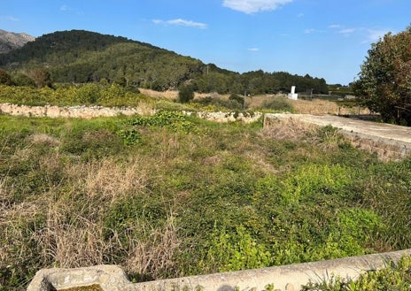 Imagen secundaria 1 - Imagen virtual de cómo será la zona verde, la balsa, llena de maleza, y otro tramo de acequia. 