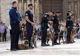 Miembros de la policía con perros adiestrados.