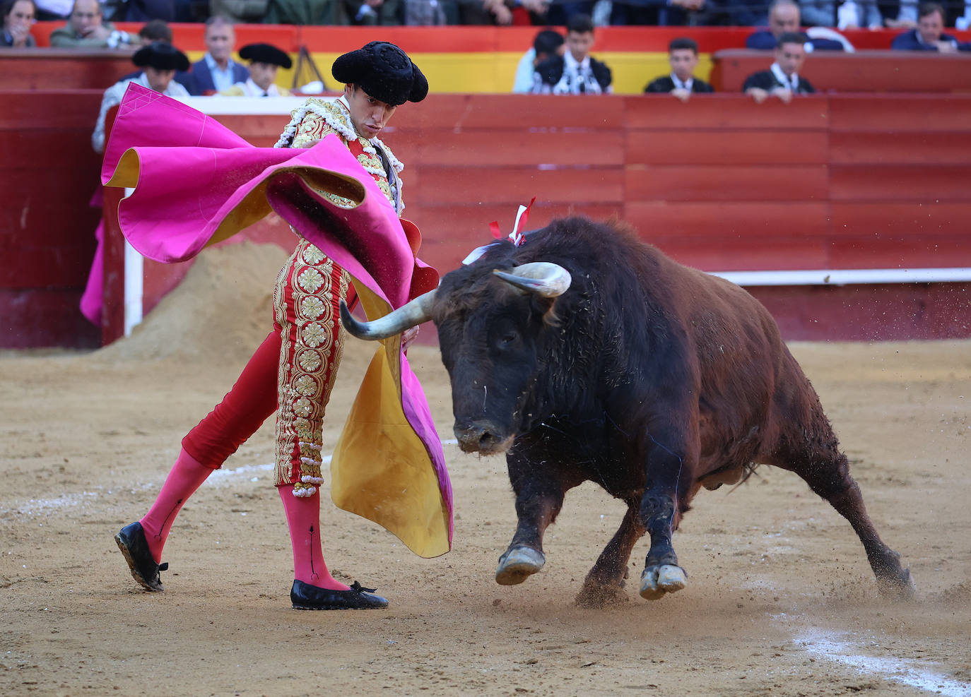 Así fue la corrida de toros de la Feria de Fallas 2023 del 15 de marzo: Paco Ureña, Ángel Téllez y Francisco de Manuel