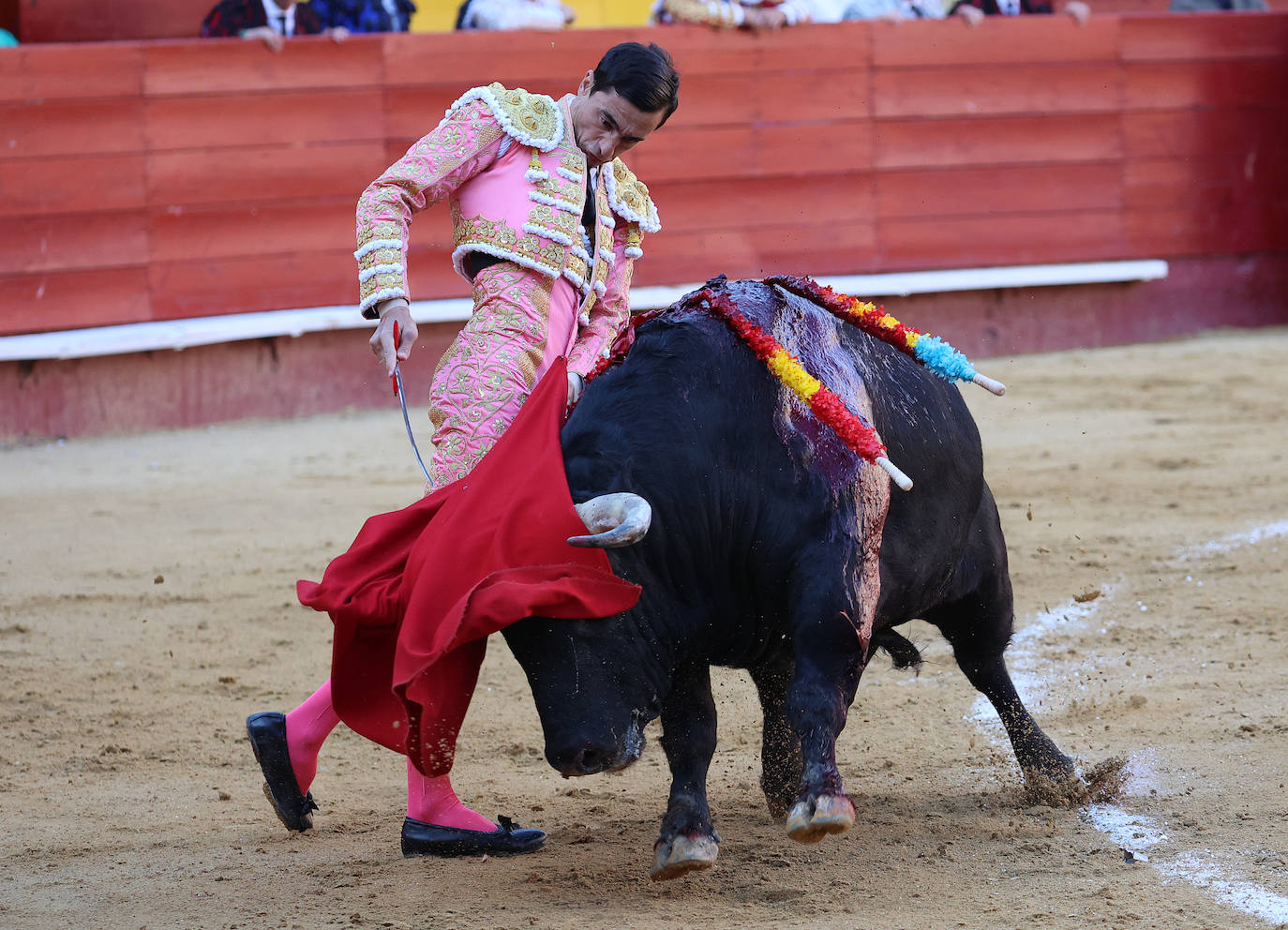 Así fue la corrida de toros de la Feria de Fallas 2023 del 15 de marzo: Paco Ureña, Ángel Téllez y Francisco de Manuel