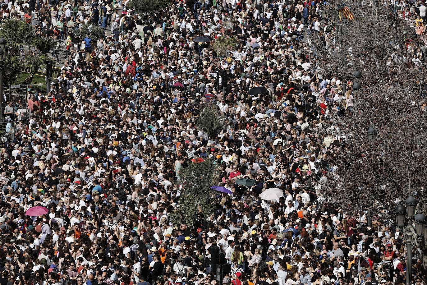 Una Valencia a rebosar vive las Fallas 2023