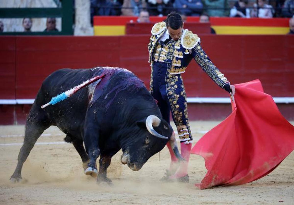 Manzanares toreando al natural al primero de su lote, al que cortó las dos orejas.