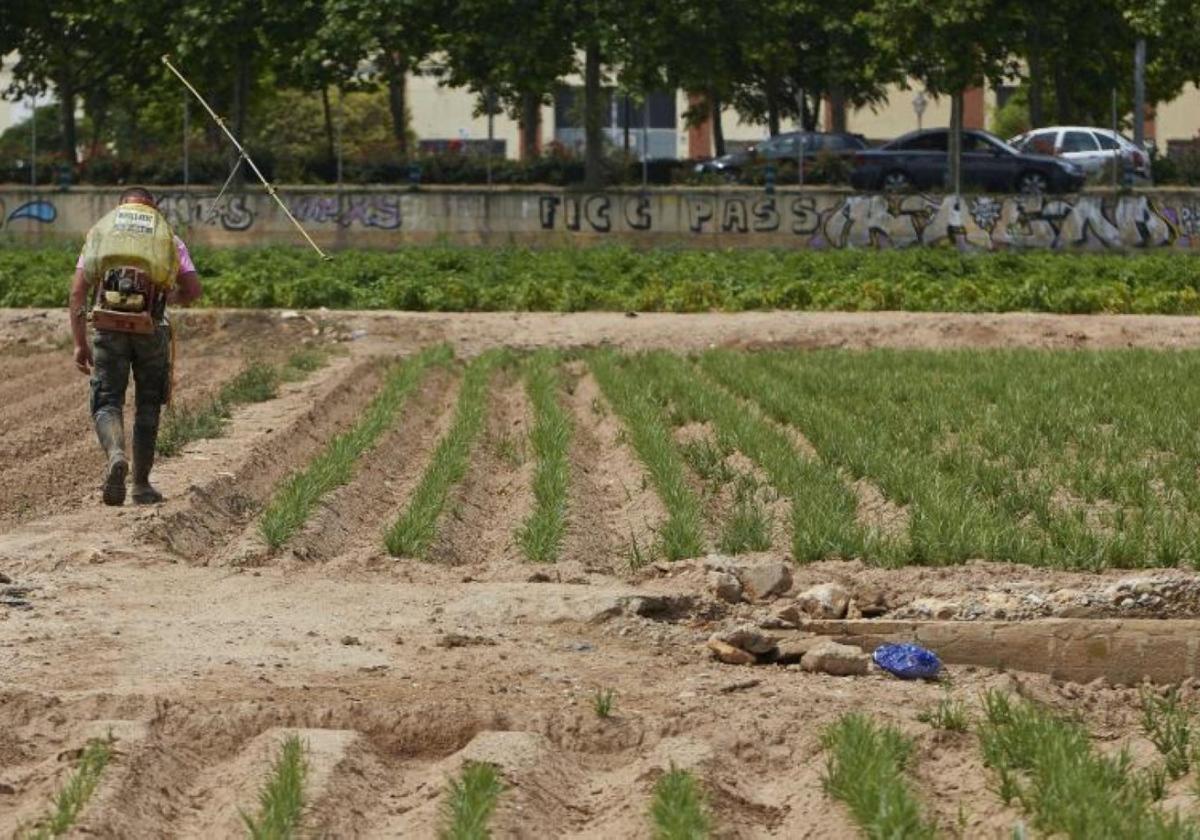 Los agricultores no encuentran ingenieros que les resuelvan el cuaderno digital