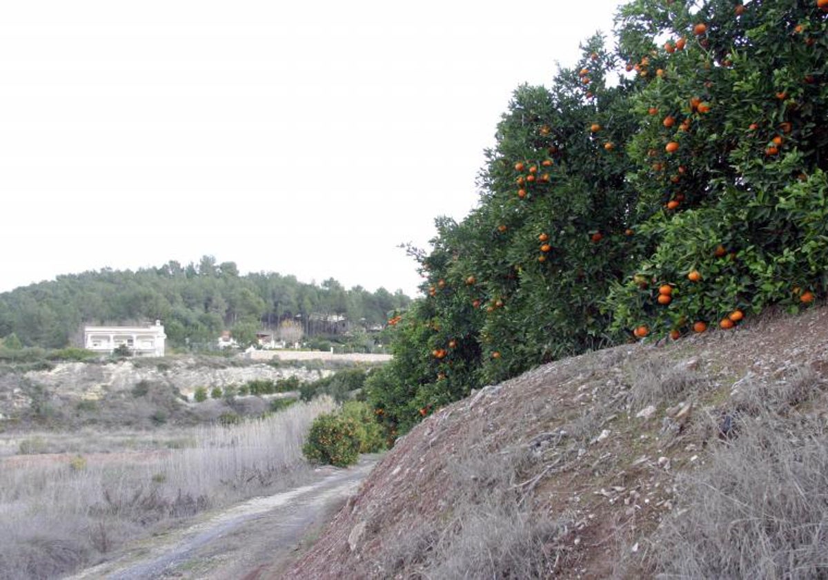 Partida de Carraixet de Xàtiva.