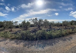 Ubicación prevista de la Planta Fotovoltaica.