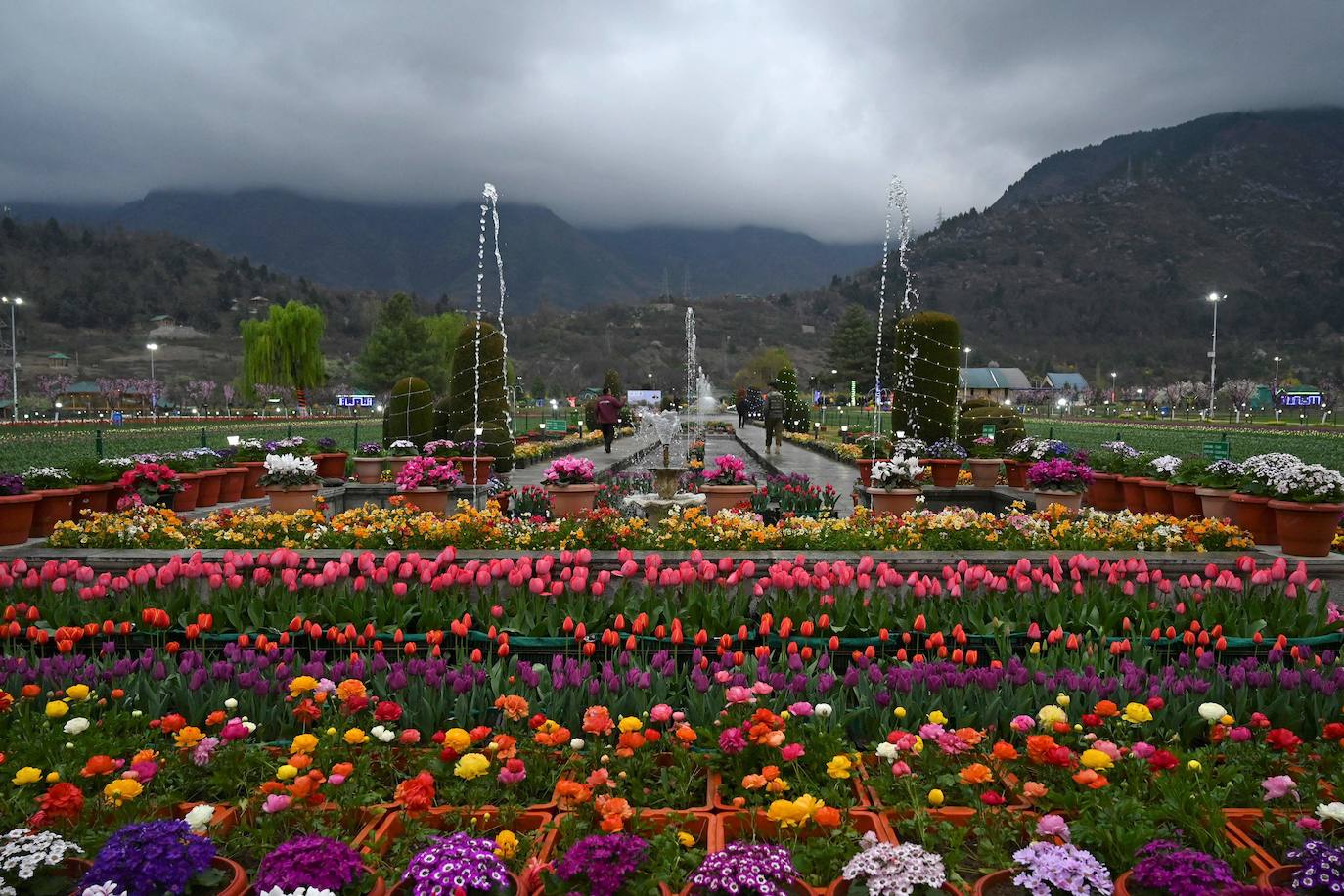 Espectáculo de color en el jardín de tulipanes más grande de Asia