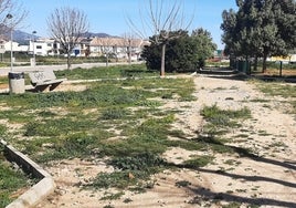 Estado de degradación en que el se encuentra el parque del polígono de Villalonga.